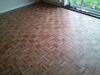 new_rhodesian_finger_parquet3.jpg